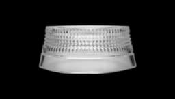 Mastercraft Pet Bowl Large - Clear
