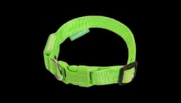 LED Dog Collar USB Rechargeable - Neon Green