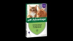 Advantage Spot On Cats 4 Pipette