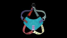 Escape Proof Cat Harness & Leash Set