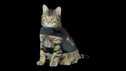 Classic Cat Anxiety Jacket - Heather Gray
