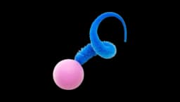 Wiggly Pong - Blue/Pink