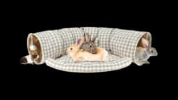 Bunny Tunnel Bed