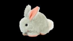 Sitting Rabbit