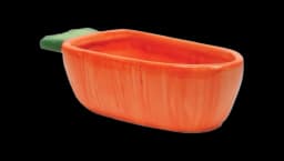 Vege-T-Bowl Carrot - Orange/Green