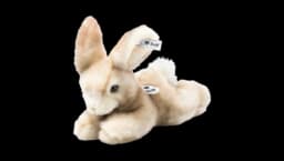 Schnucki Rabbit