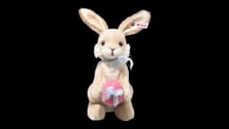 Hoppy Spring Rabbit