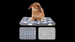 Soft Bunny Bedding Set Of 3