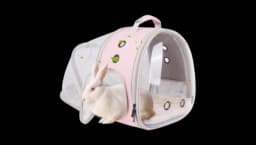 Back Expandable Backpack For Bunnies - Clear/Pink