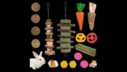 Bunny Chew Toys Set Of 20