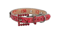 Studded Dog Collar - Red/White