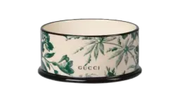 Small Herbarium Print Pet Bowl - Green & Ivory Porcelain