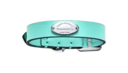 Pet Collar - Tiffany Blue