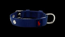 Nylon Polo Pony Pet Collar - Fall Royal/Red