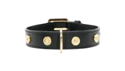 Studded Leather Pet Collar - Black