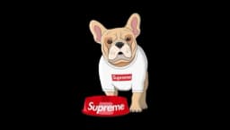 Supreme Hypebeast Pet Sticker