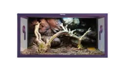 Reptile Enclosure 190L