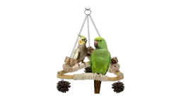 Bird Swing for Cage with Chew Toys