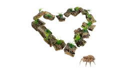 Small Cork Bark for Tarantula 15 Pack