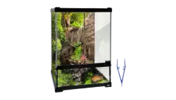 Reptile Glass Terrarium Tank