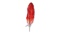 Parrot Feather - Red