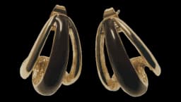 Drop Earrings