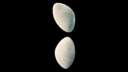 Marble Statement Earrings