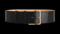 Wide Leather Belt