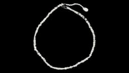 Freshwater Pearl Necklace
