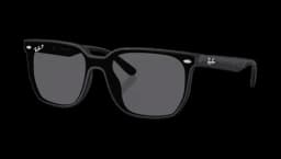 RB4466D Polarized