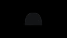Wool Beanie