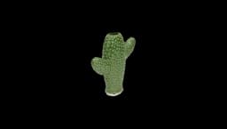 Cactus Vase S