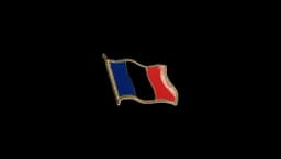 French Flag Pin