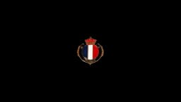 French Forces Pin