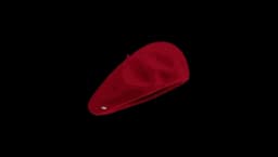 Authentique Beret