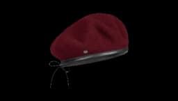 Rosa Beret