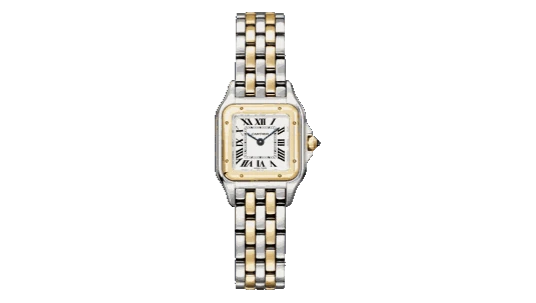 Panthère Small Two-Tone Watch