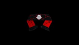 G2 Scarf 2026