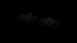 Decorative Halloween Spider - 1 pc