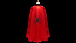 Reversible Spider & Bat Cape