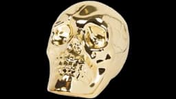 Light-Up Skull