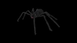 Giant Halloween Spider