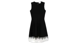 Cobweb Lace Mini Dress
