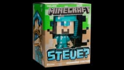 Diamond Steve Vinyl